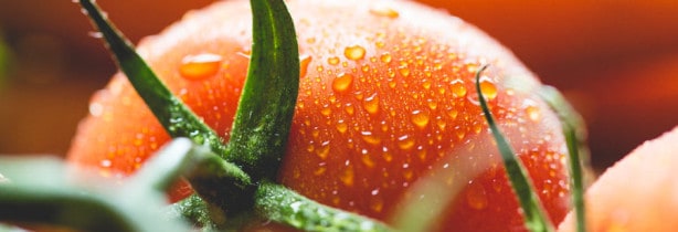 Tipps zur Lagerung von Obst- und Gemüsesorten Bild