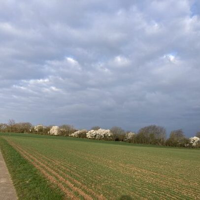 Blick nach Osten zum Fotovoltaik-Feld