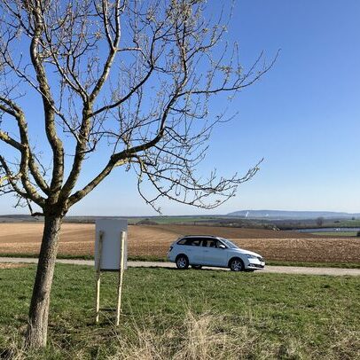 Eines der wenigen Feldgehölze auf der Kuppe