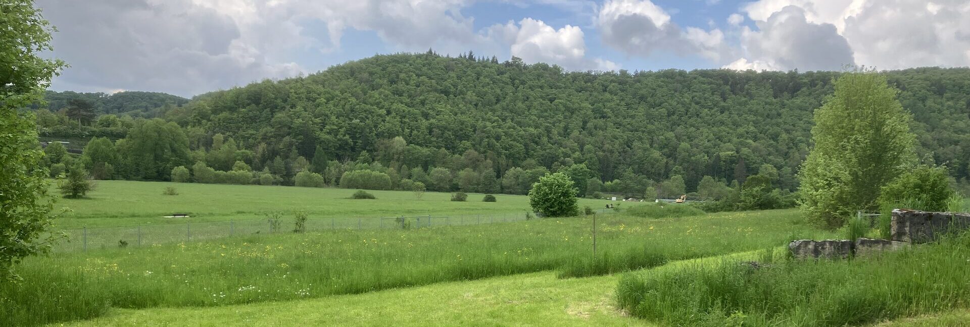 Pappenheim