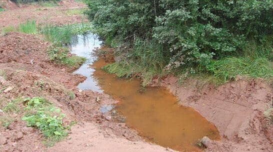 Audit des Sanierungserfolges der Säureharz-/Feststoffdeponie Neukirchen Vorschau-Bild